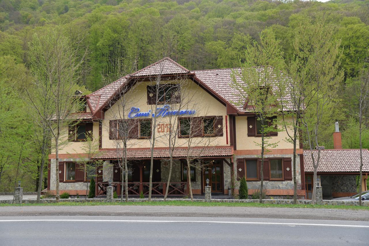 Syni Potoky Motel Svalyava Dış mekan fotoğraf